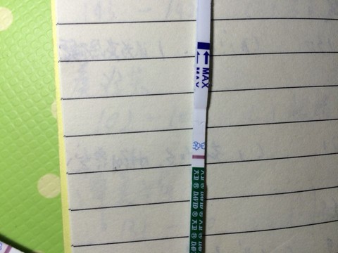 journal_insert_pic_412542093