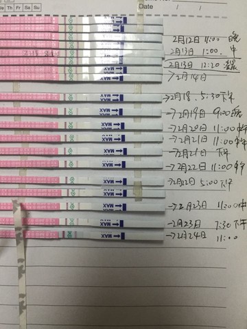 journal_insert_pic_412071273