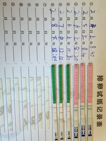 journal_insert_pic_413650758