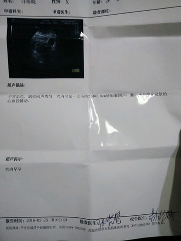 journal_insert_pic_413859069