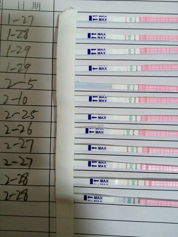 journal_insert_pic_415294470