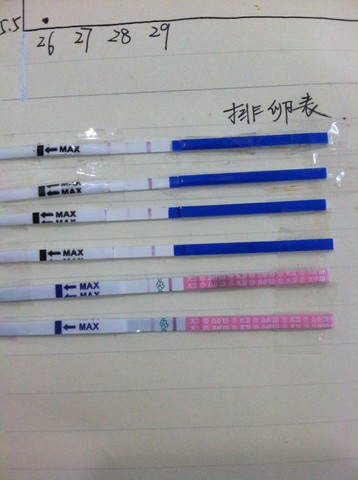 journal_insert_pic_415204689