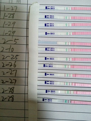 journal_insert_pic_415294324