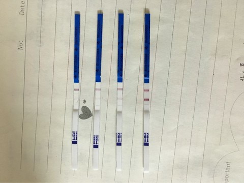 journal_insert_pic_416113566