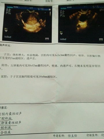 journal_insert_pic_416612472