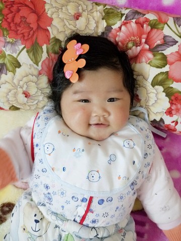 journal_insert_pic_417101034