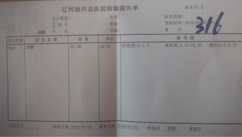 journal_insert_pic_417234447