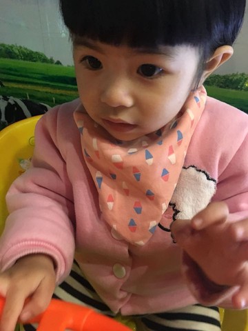 journal_insert_pic_417955828