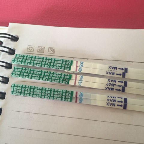 journal_insert_pic_417782813