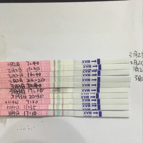 journal_insert_pic_418825675