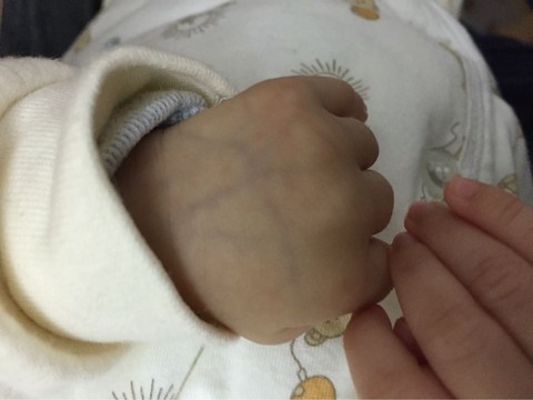 journal_insert_pic_419120667