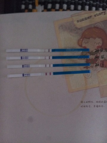 journal_insert_pic_419954312
