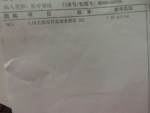 journal_insert_pic_420263265