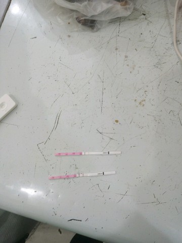 journal_insert_pic_420870866