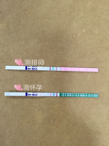 journal_insert_pic_420936216