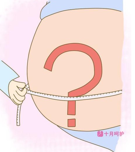 医学上可用宫高乘腹围,再加200,来预估胎儿体重.