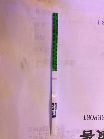 journal_insert_pic_422923152