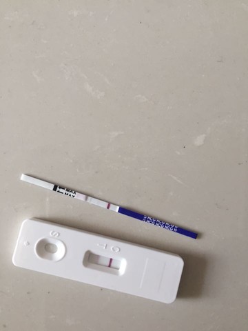 journal_insert_pic_425557354