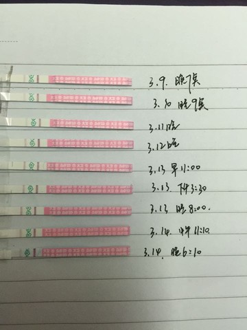 journal_insert_pic_426224707