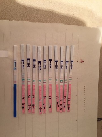 journal_insert_pic_426295532