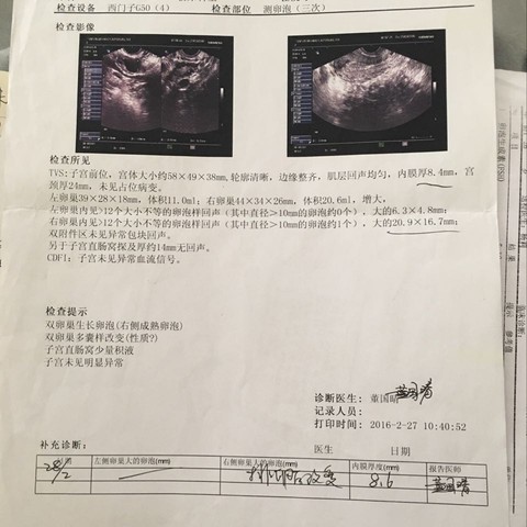 journal_insert_pic_425934080