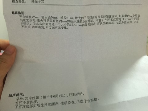 journal_insert_pic_426951812