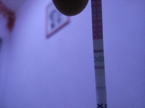 journal_insert_pic_426552724