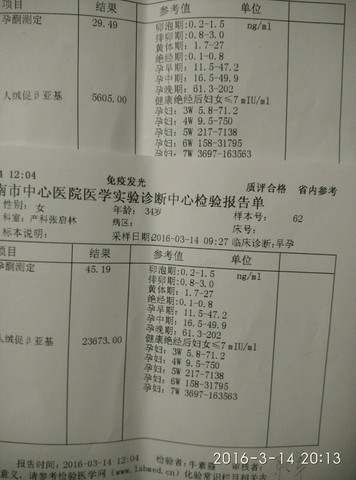 journal_insert_pic_426815148