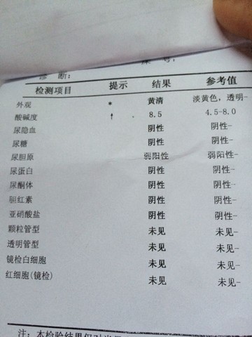 journal_insert_pic_427677192