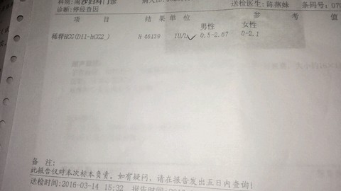 journal_insert_pic_427714982