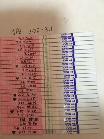 journal_insert_pic_428002260