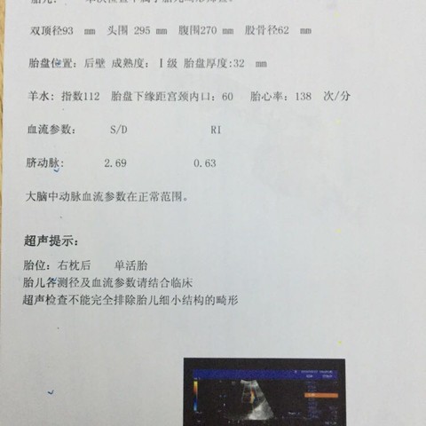 journal_insert_pic_428448832
