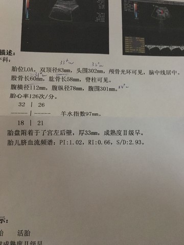 journal_insert_pic_428221168