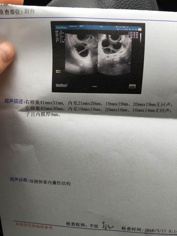 journal_insert_pic_428030059