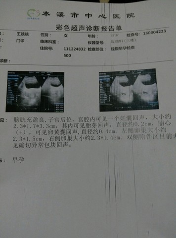 journal_insert_pic_428137192