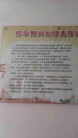 journal_insert_pic_429512725
