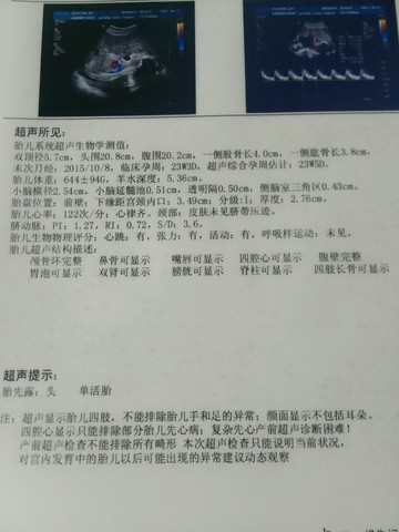 journal_insert_pic_430402306