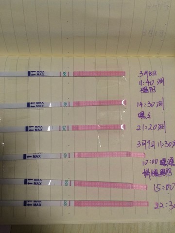 journal_insert_pic_430542908