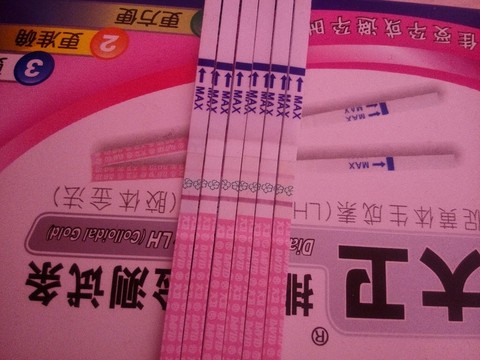 journal_insert_pic_430407427