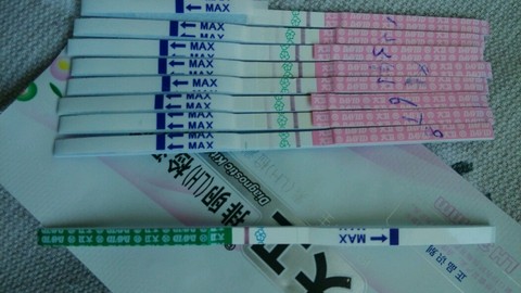 journal_insert_pic_430675688