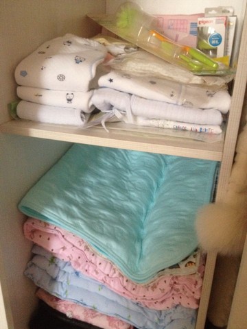 journal_insert_pic_430544964