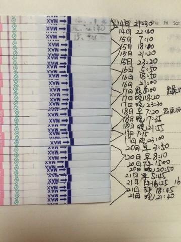 journal_insert_pic_431828606
