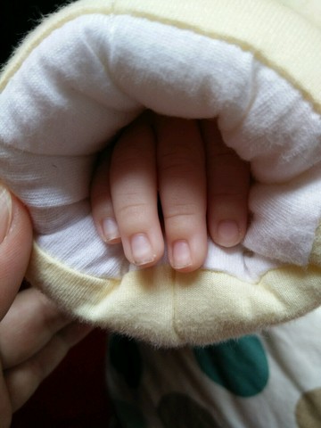 journal_insert_pic_431178719