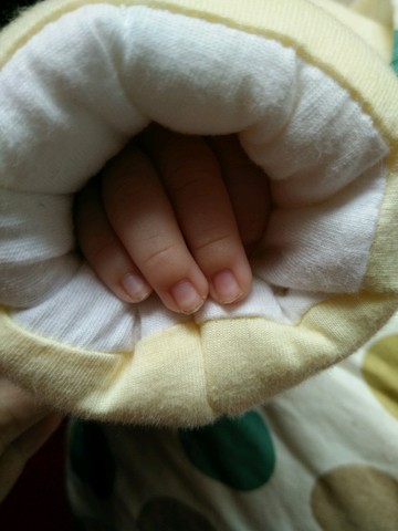 journal_insert_pic_431178670