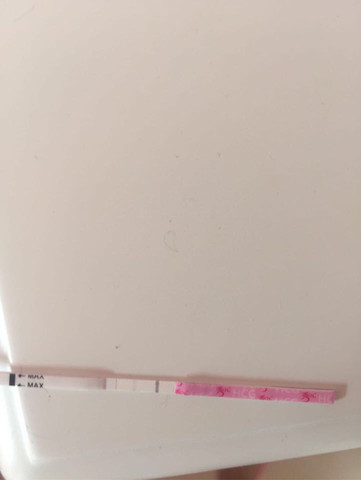 journal_insert_pic_431250221