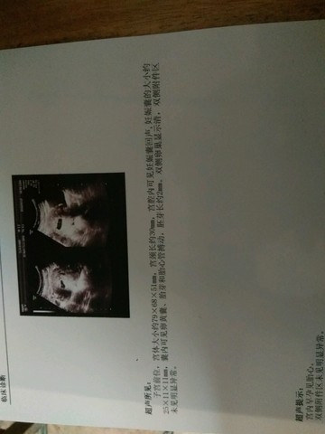 journal_insert_pic_432011833