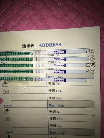 journal_insert_pic_433729615