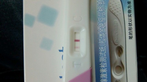 journal_insert_pic_434263125