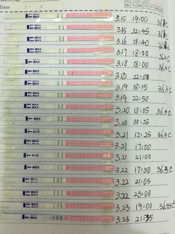 journal_insert_pic_434184149