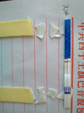 journal_insert_pic_434219184